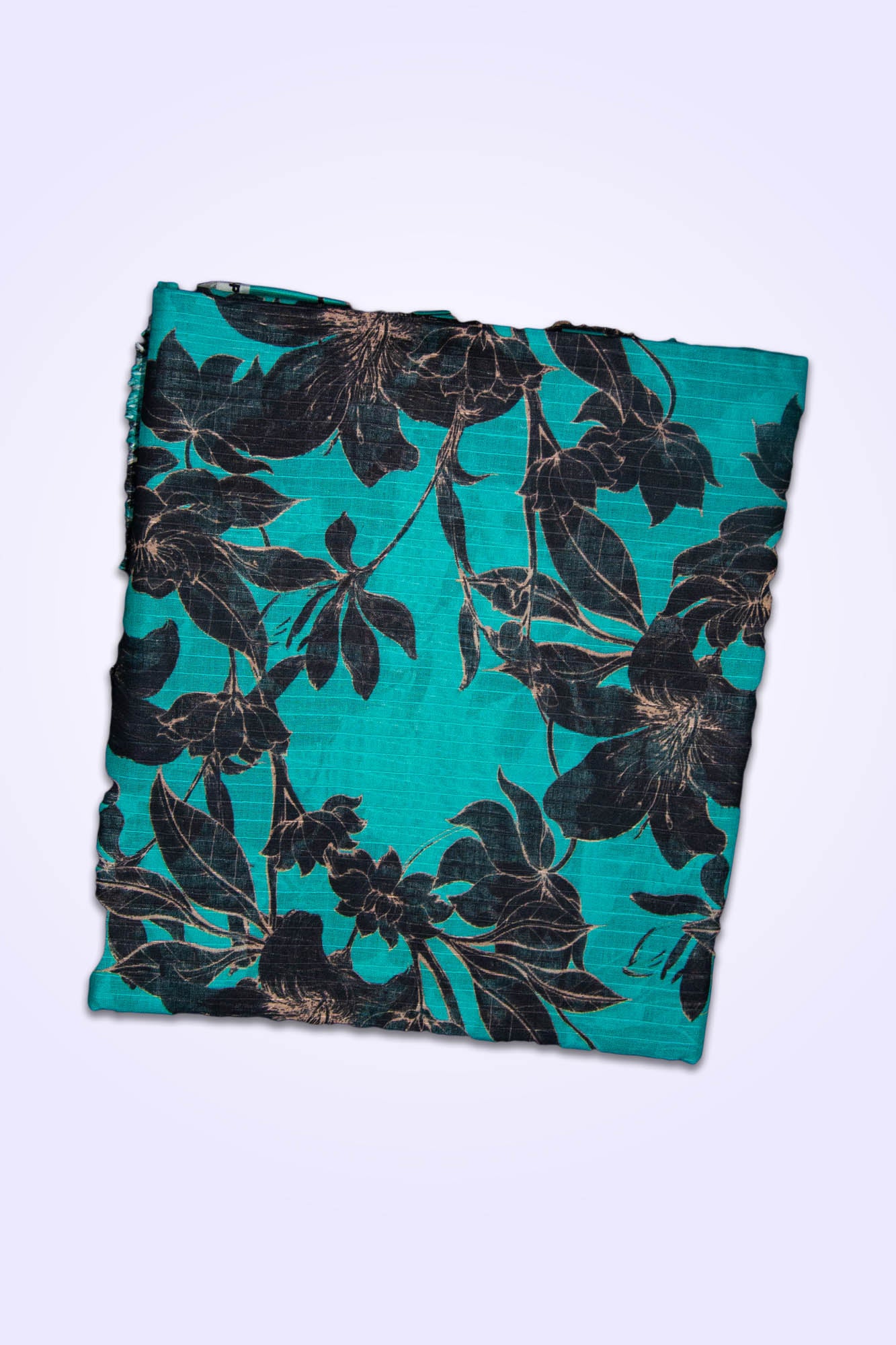 Bana Dora Lawn Printed 2 Piece Suit